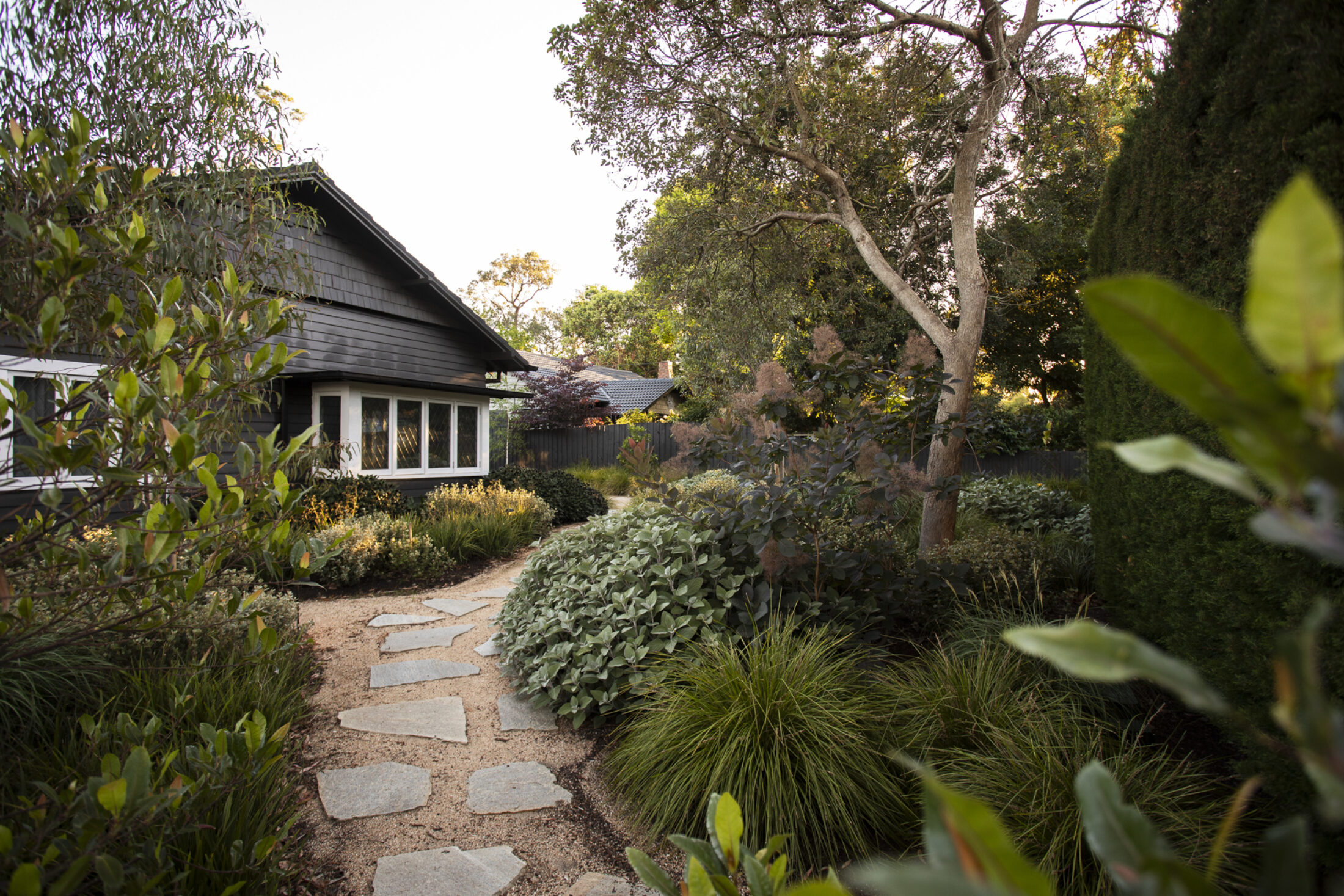 BWLA Blackburn 0194 Gemmola LR