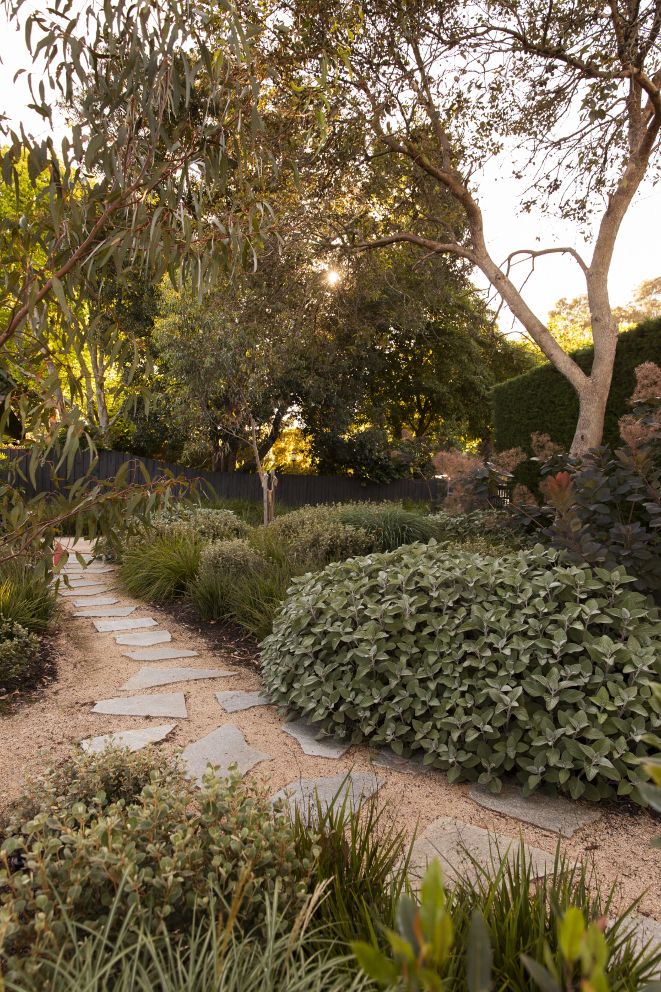 BWLA Blackburn 0369 Gemmola LR