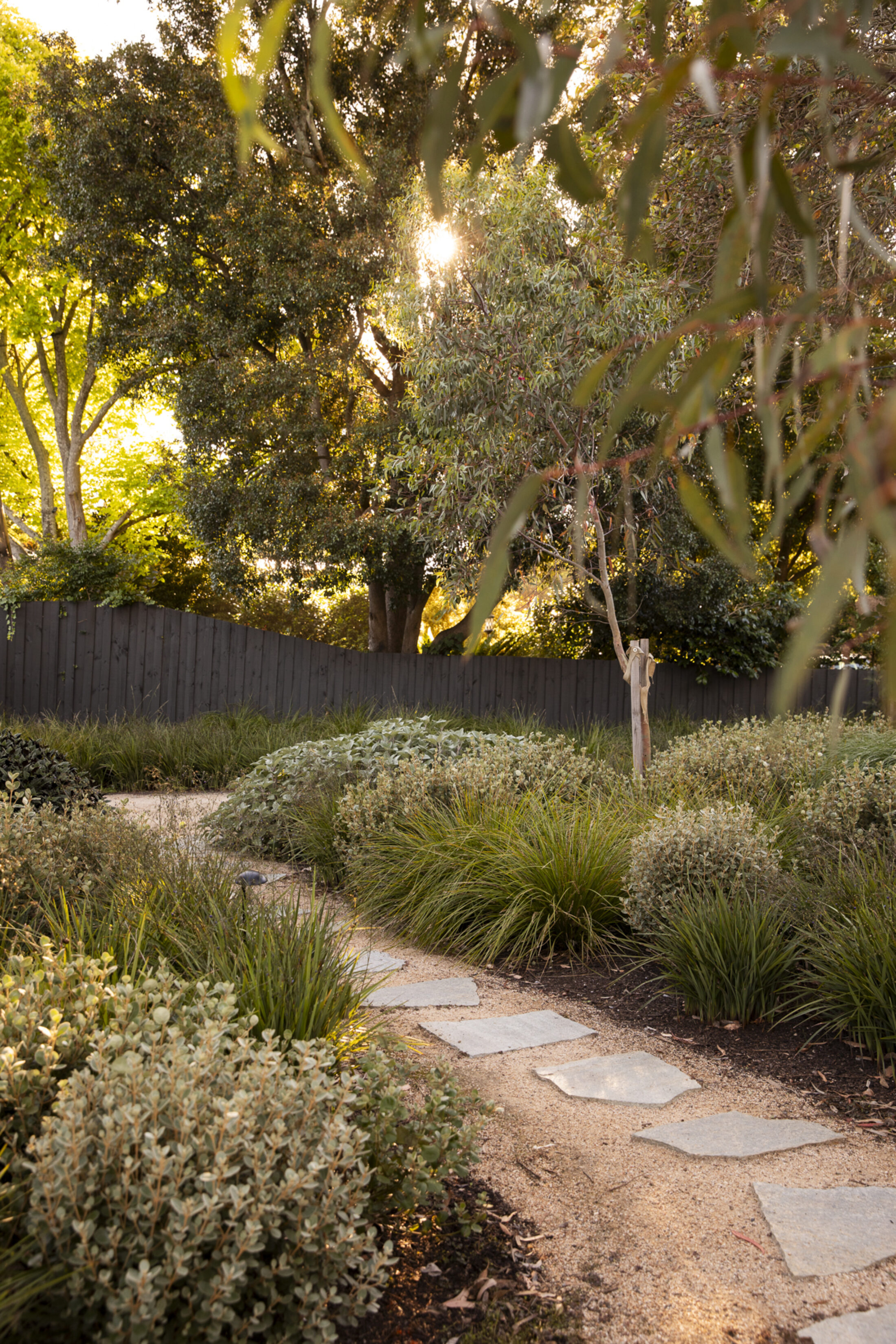 BWLA Blackburn 0385 Gemmola LR