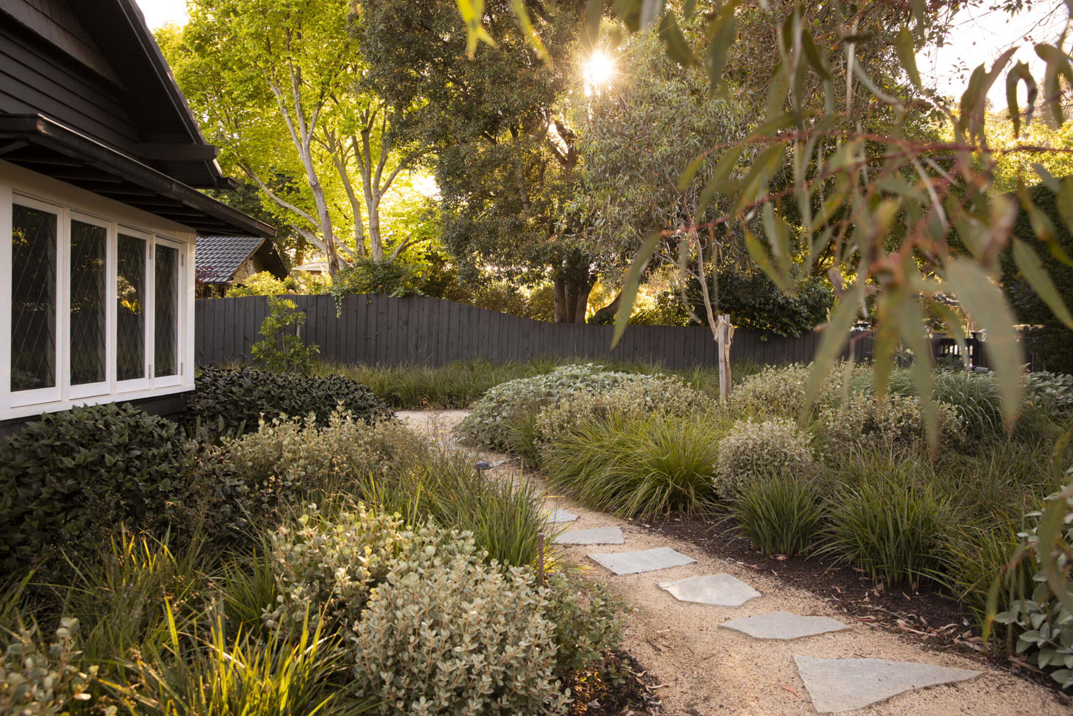 BWLA Blackburn 0388 Gemmola LR