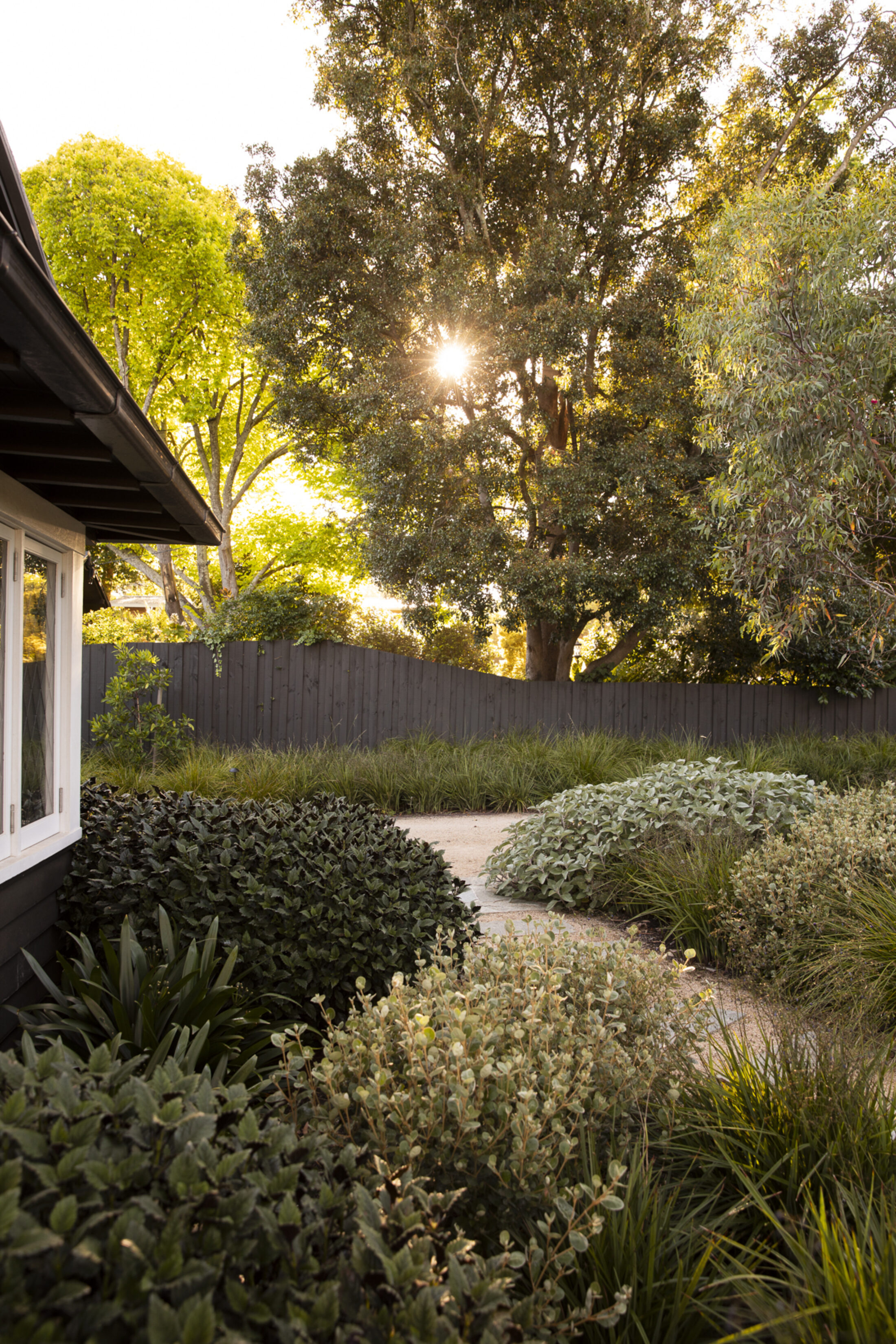 BWLA Blackburn 0389 Gemmola LR