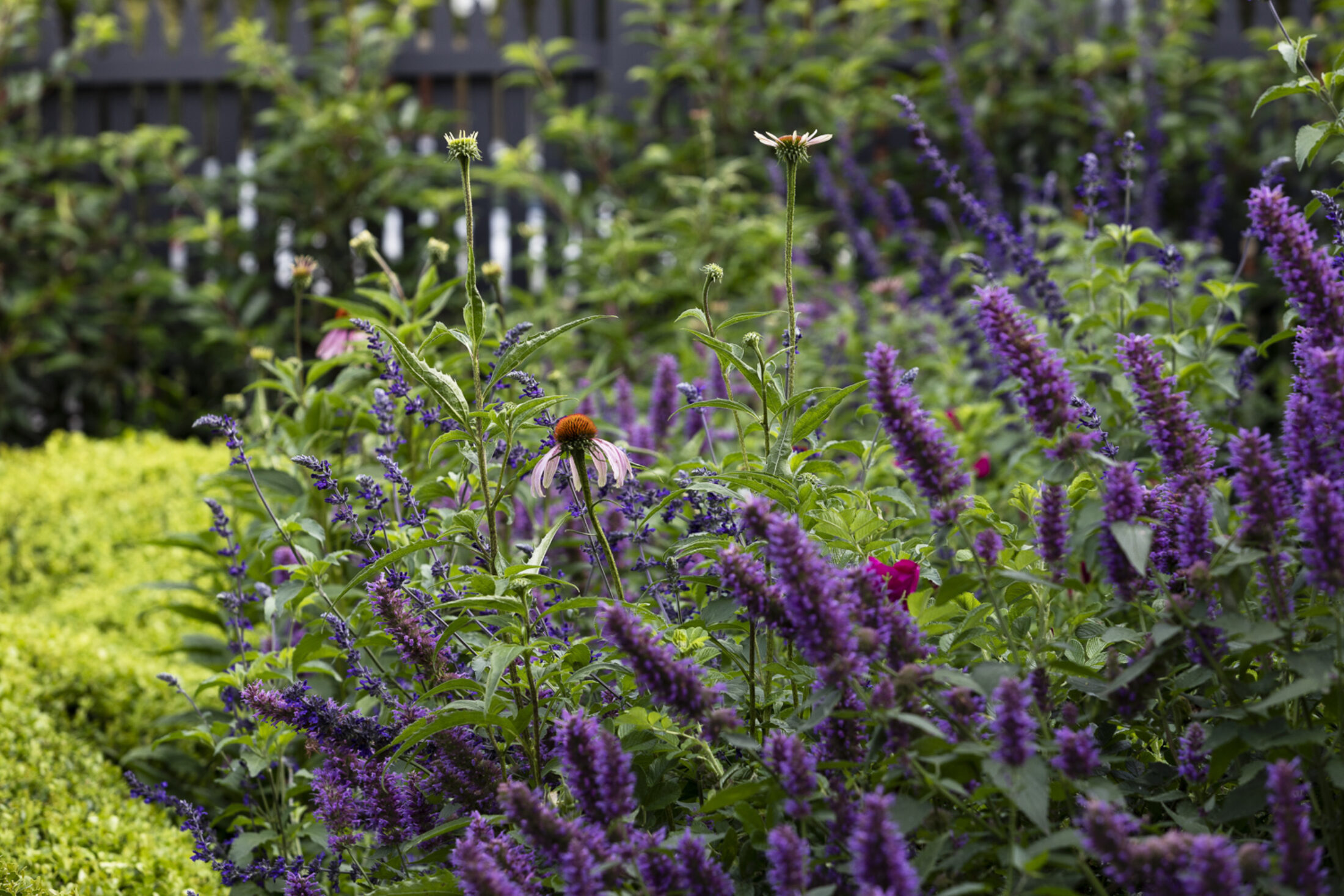 Bethany Williamson 7829 Gemmola LR