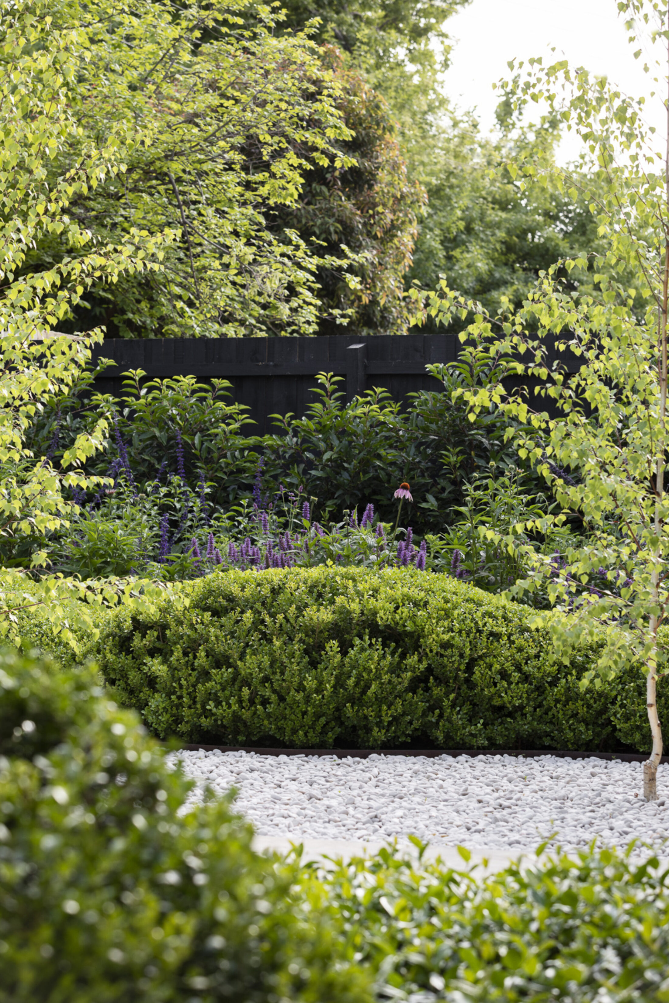 Bethany Williamson 7876 Gemmola LR