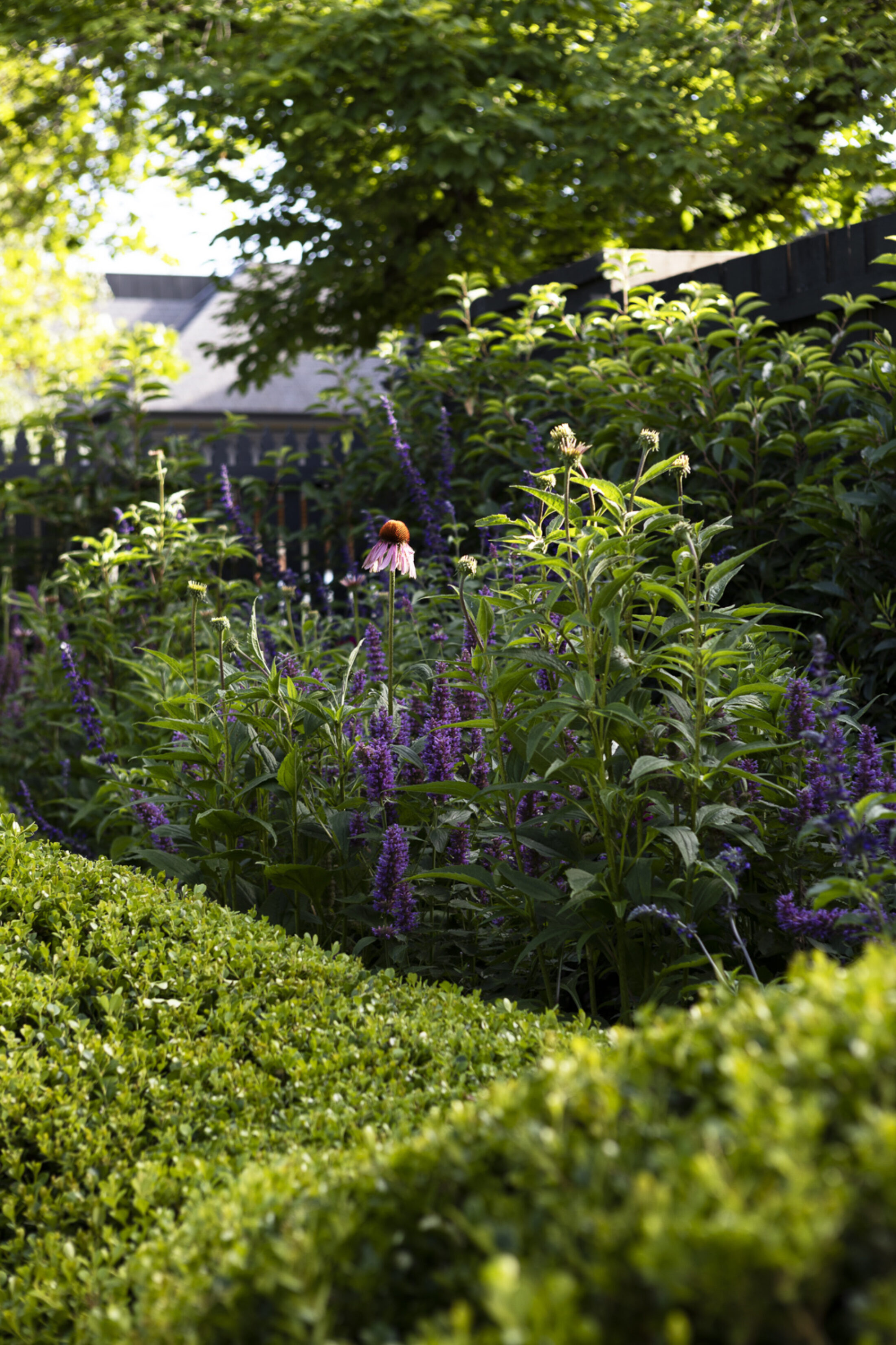 Bethany Williamson 7920 Gemmola LR