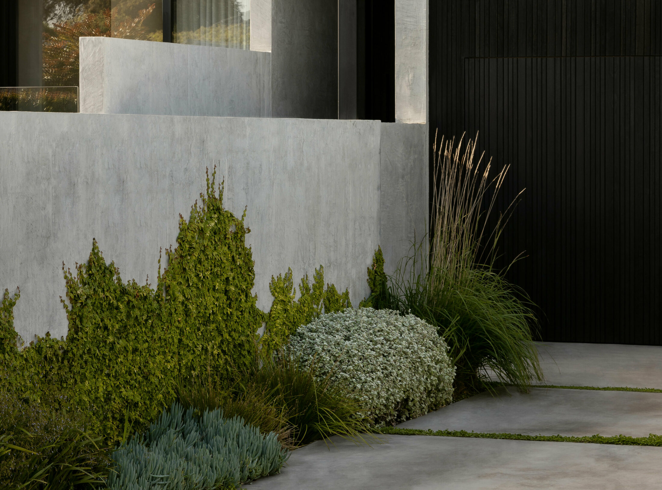 Kaye 1352 Cropped LR