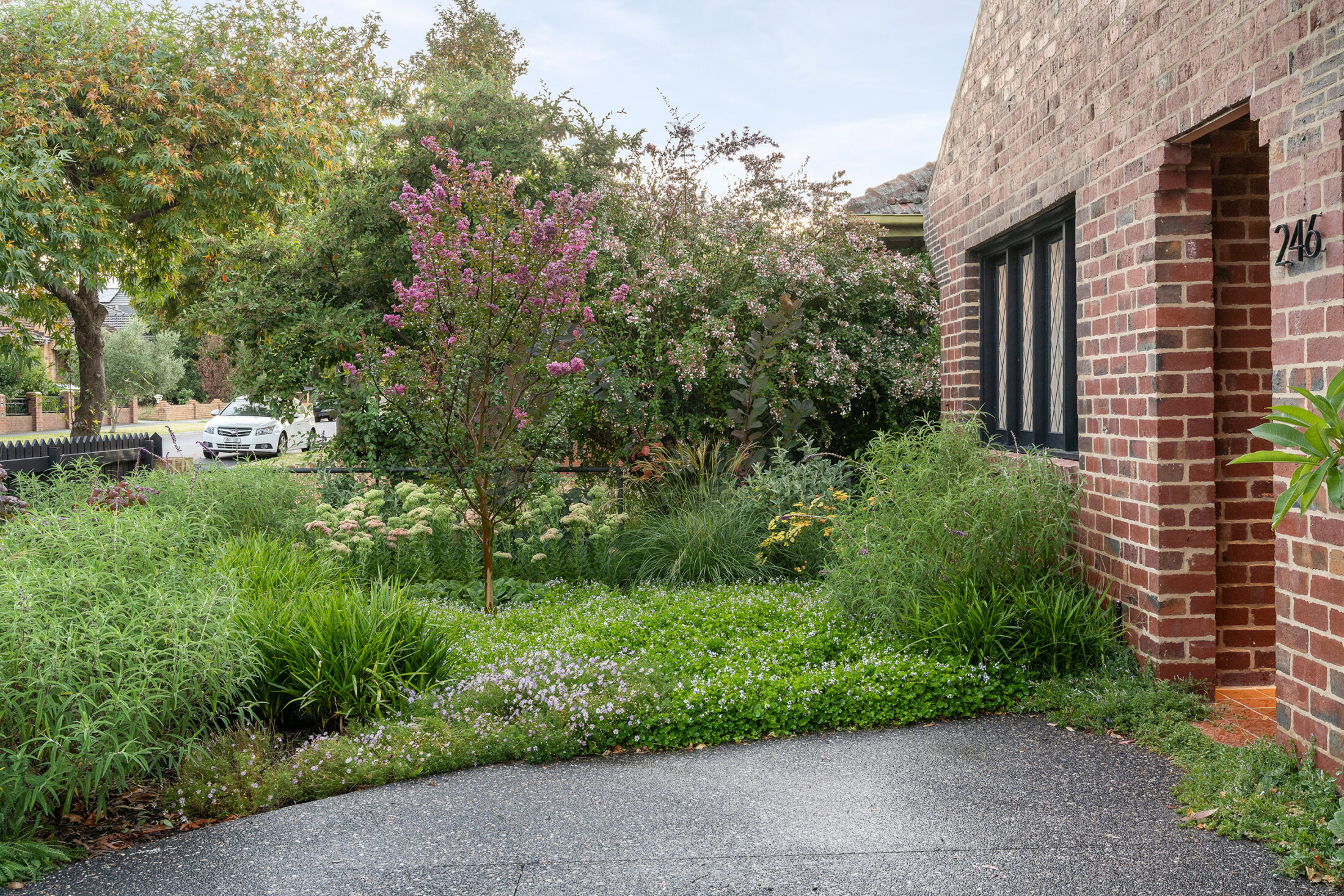 LP1411 246 Mansfield St 041