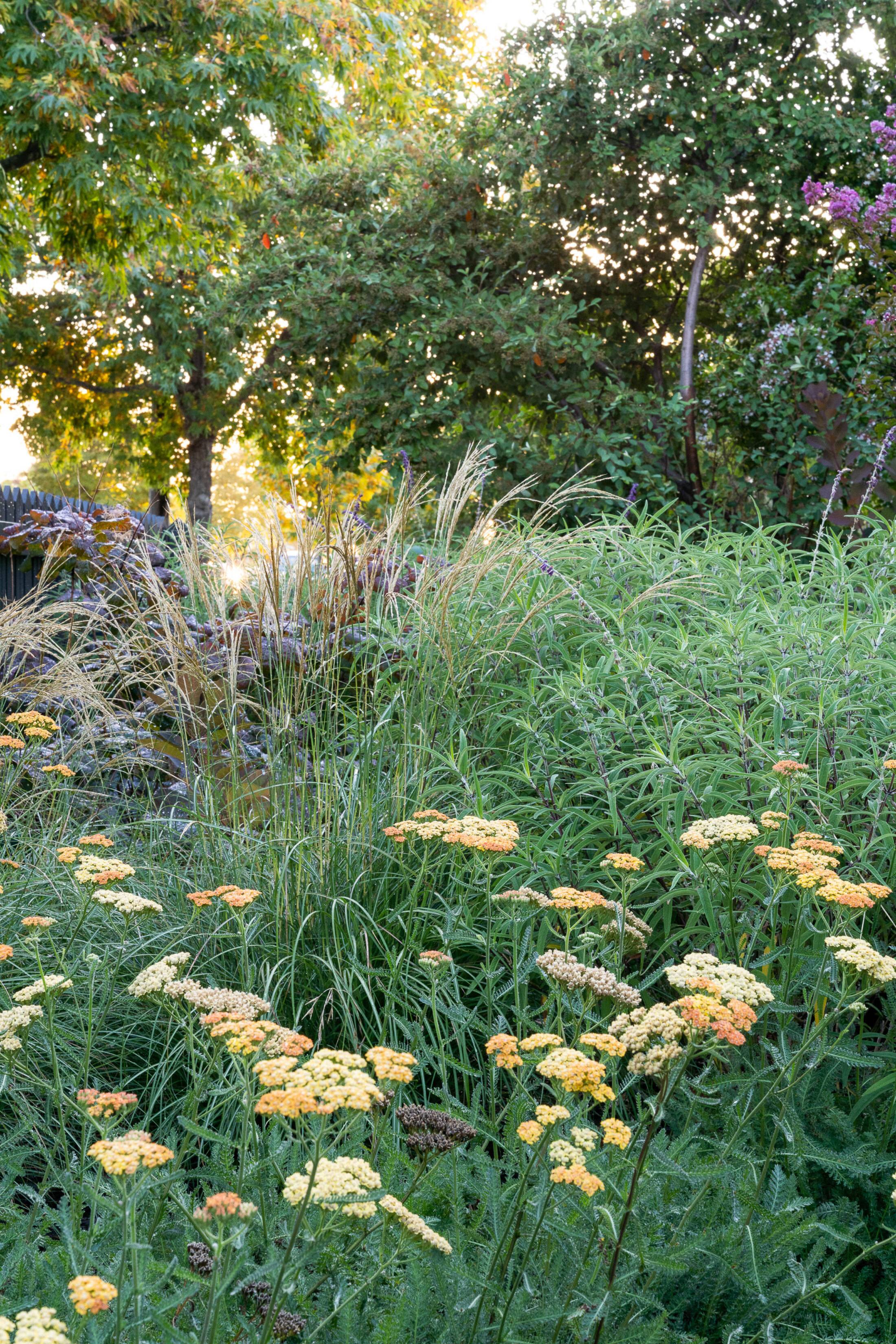 LP1411 246 Mansfield St 141