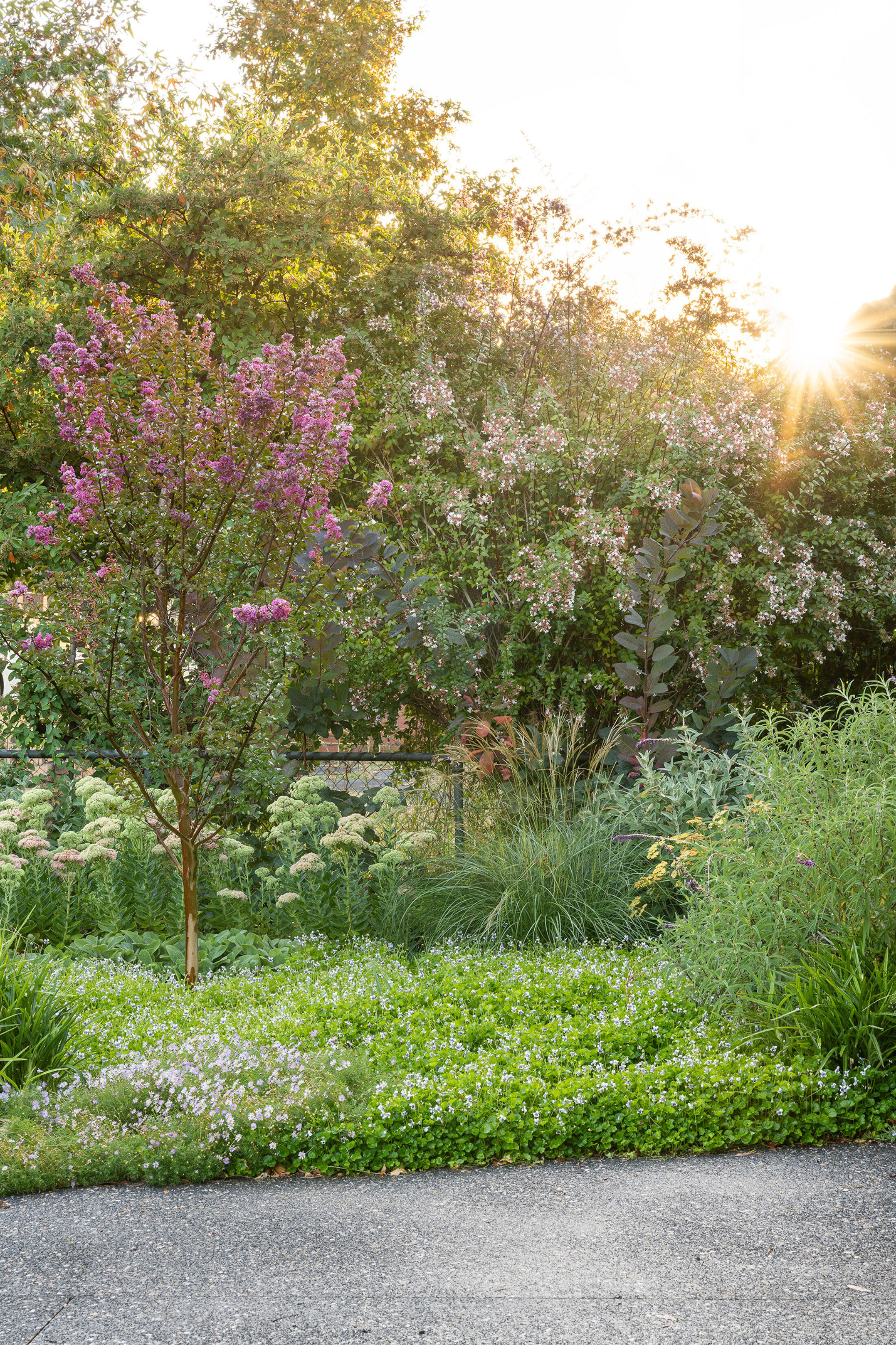 LP1411 246 Mansfield St 203