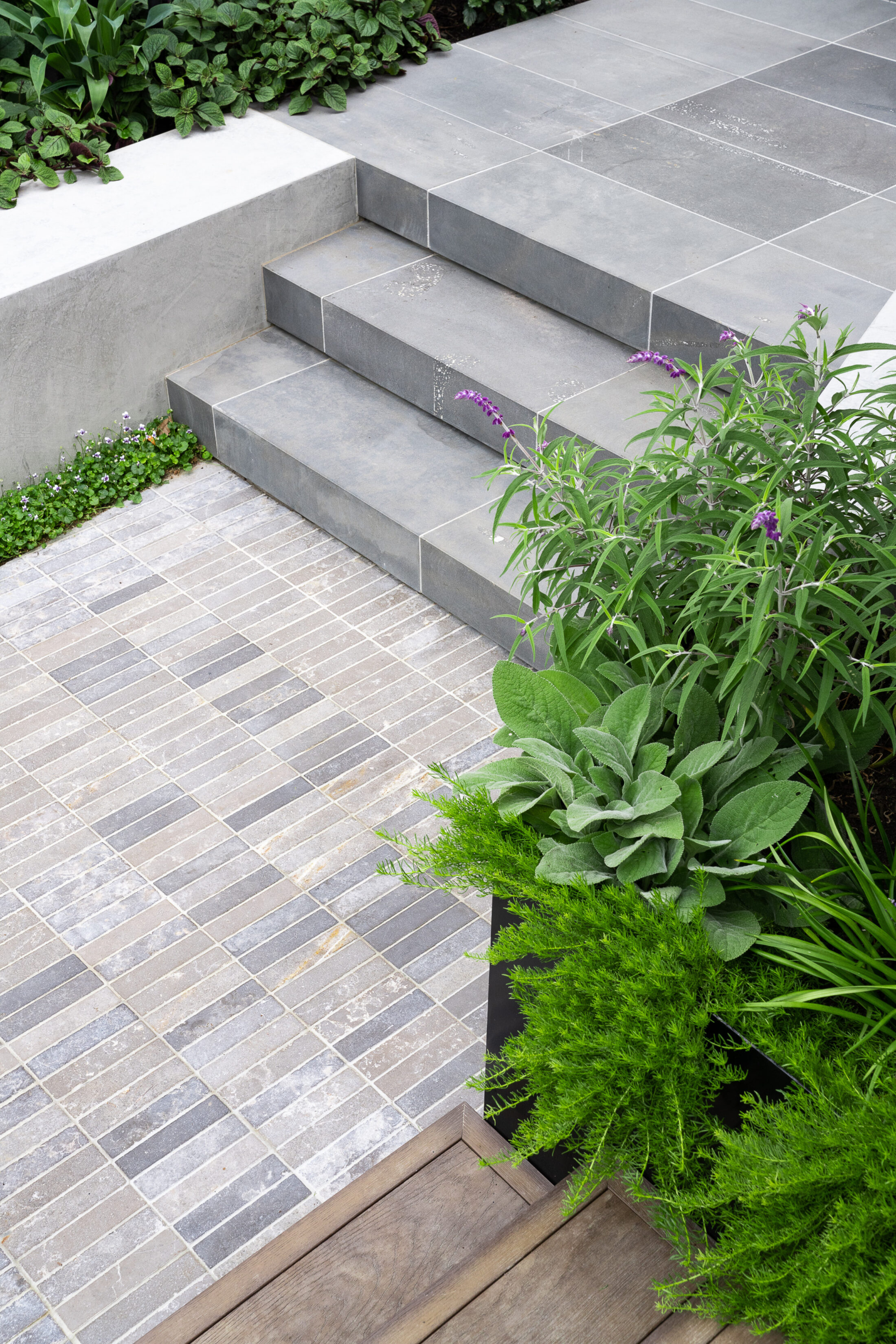 LP1436 48 Celia St 003