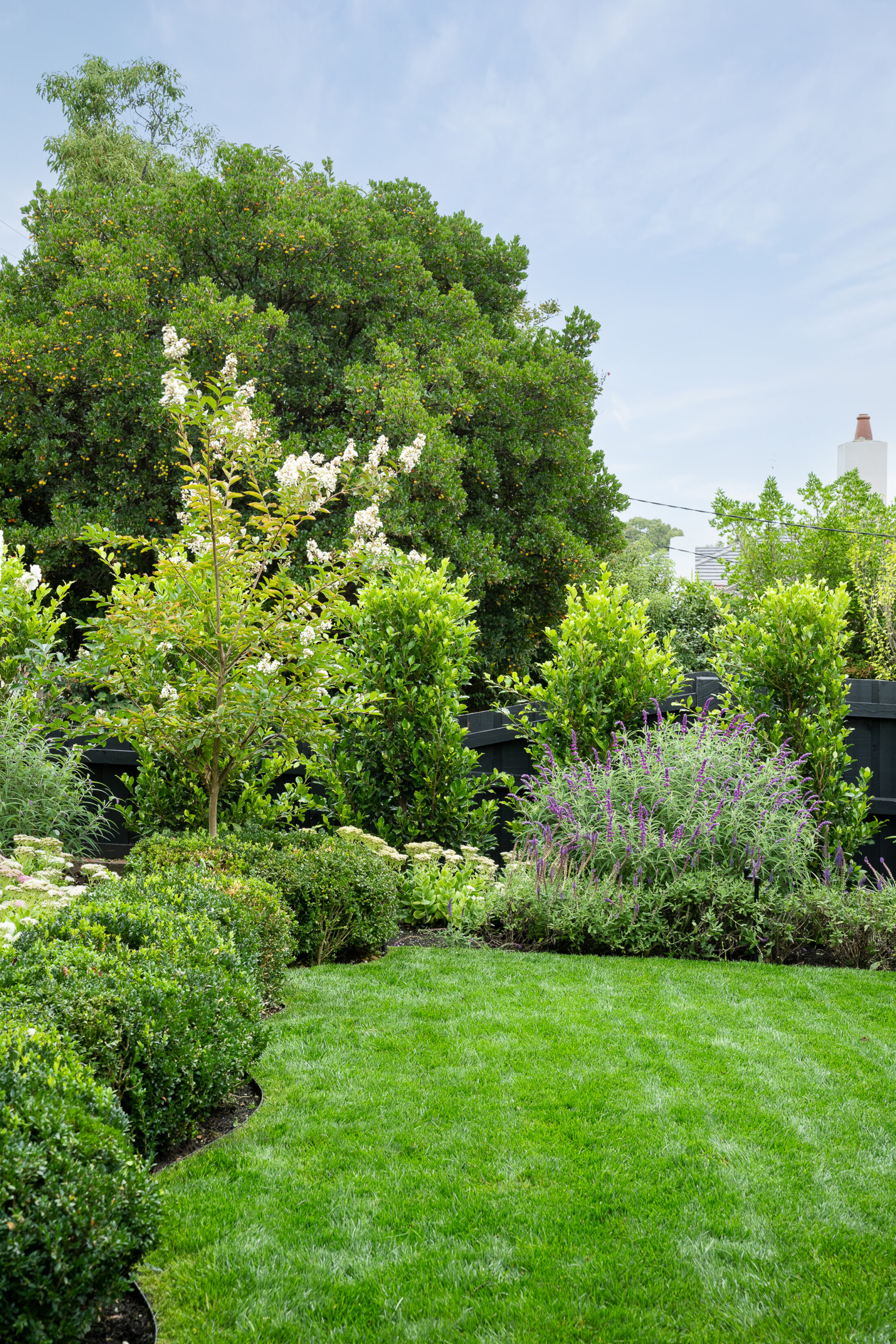 LP1436 48 Celia St 004