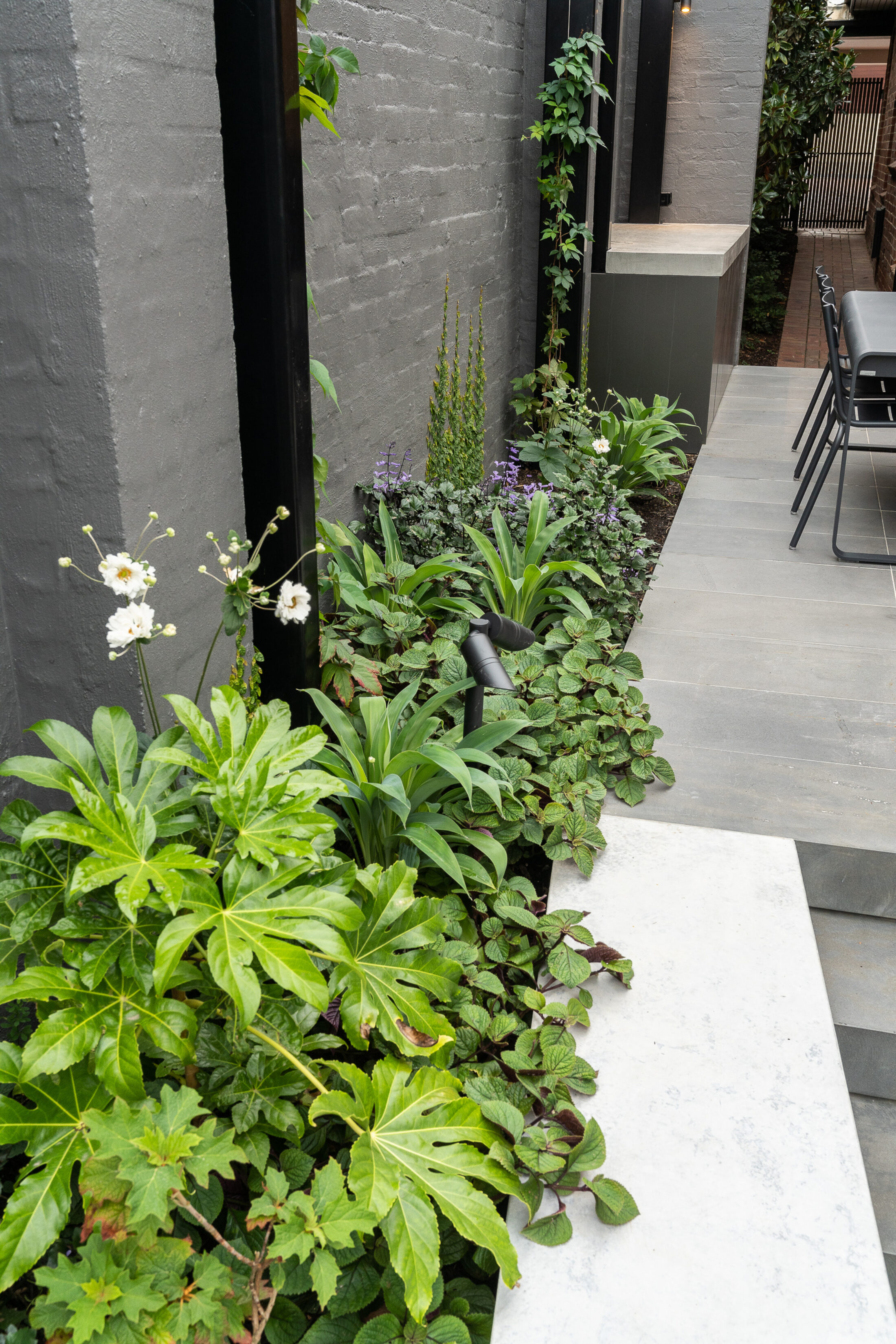 LP1436 48 Celia St 199