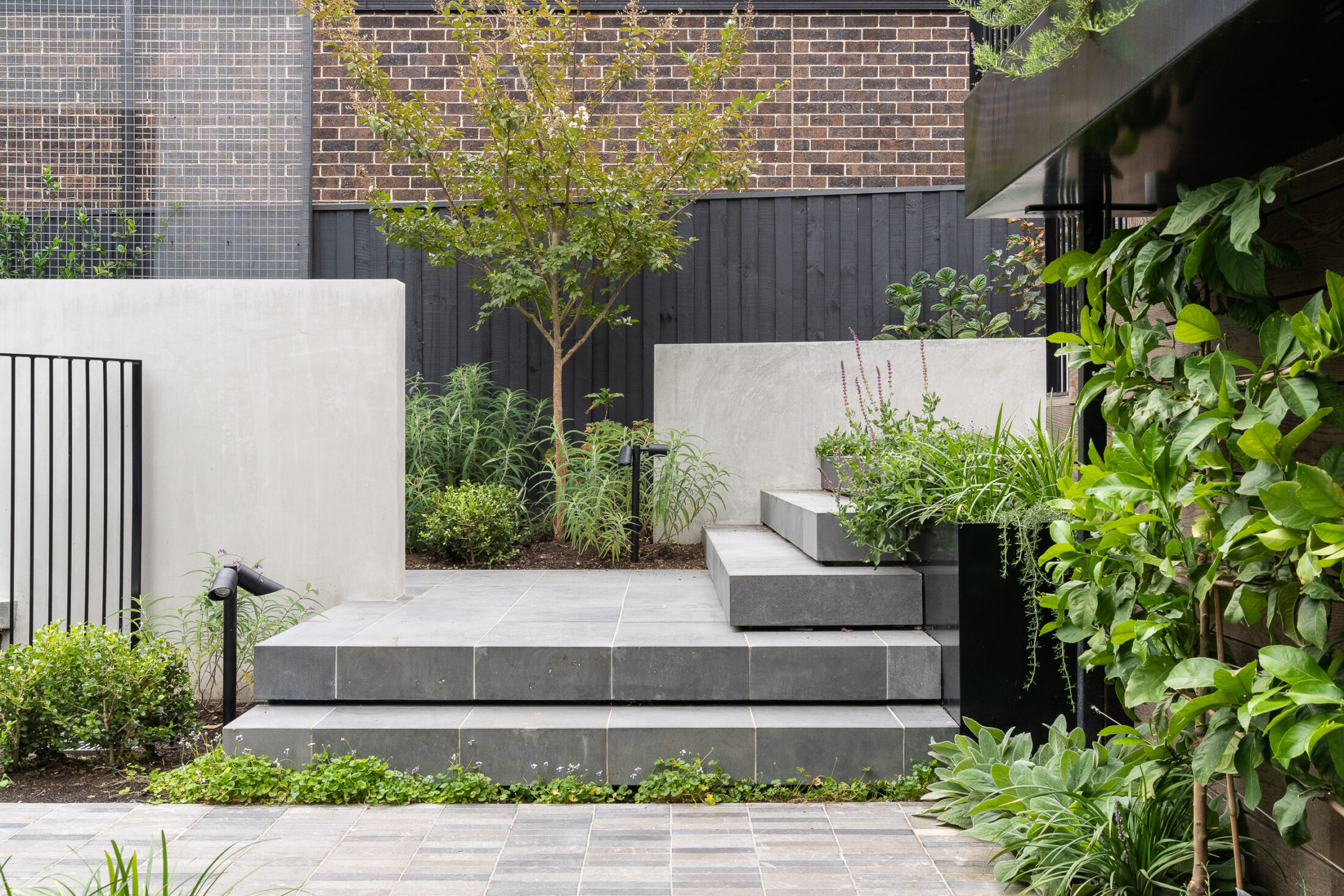 LP1436 48 Celia St 275