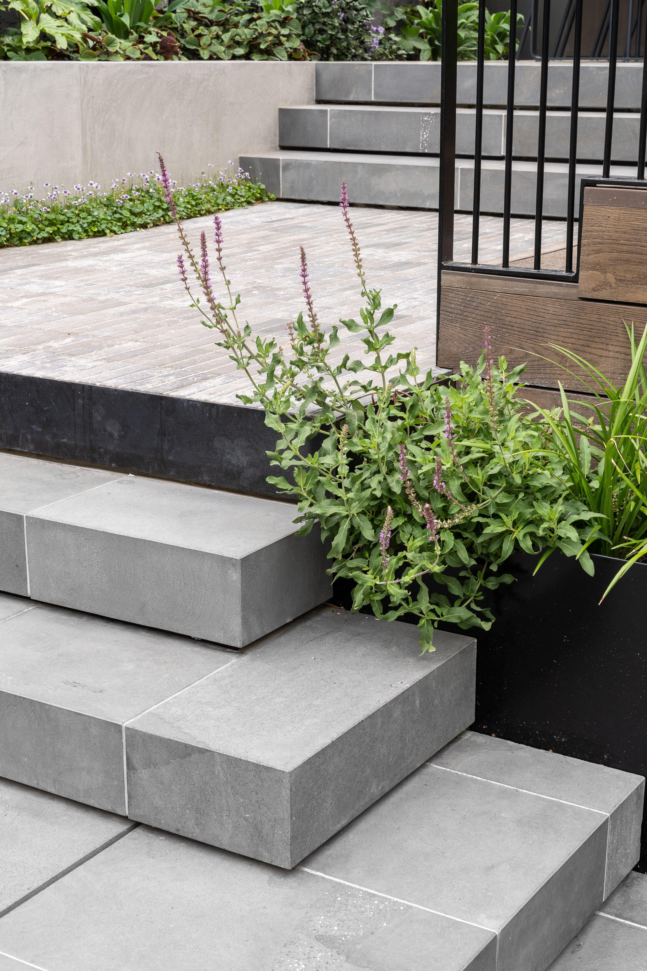 LP1436 48 Celia St 286