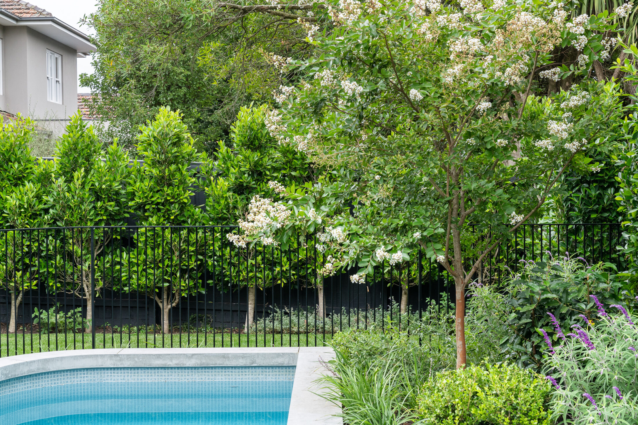 LP1436 48 Celia St 322