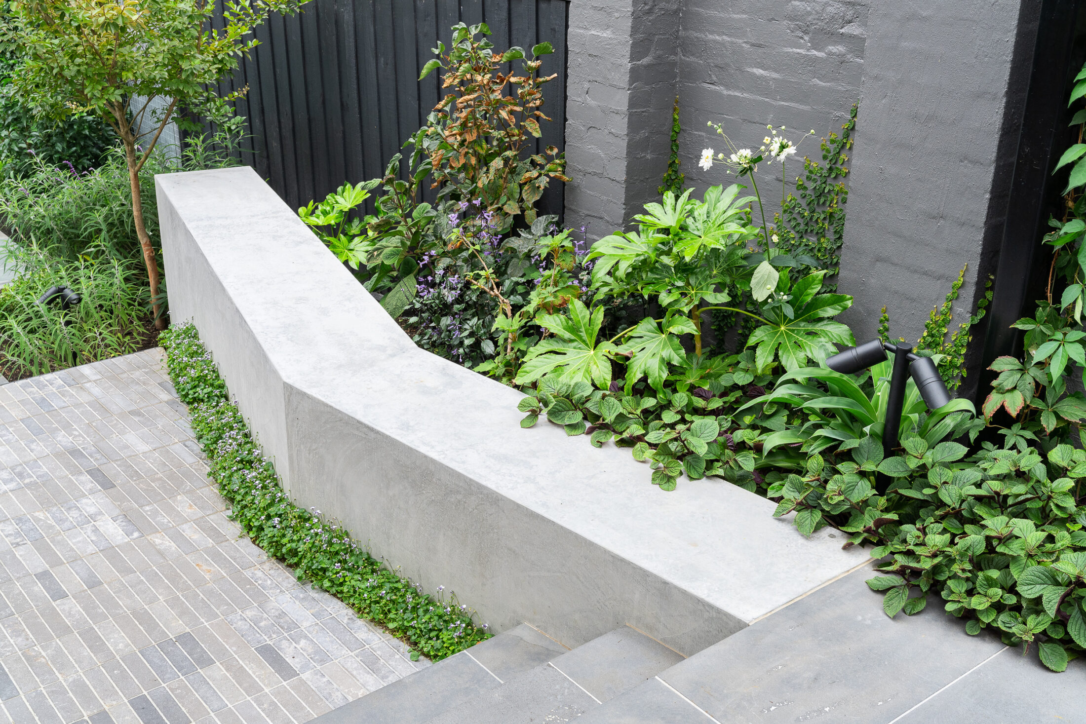 LP1436 48 Celia St 401