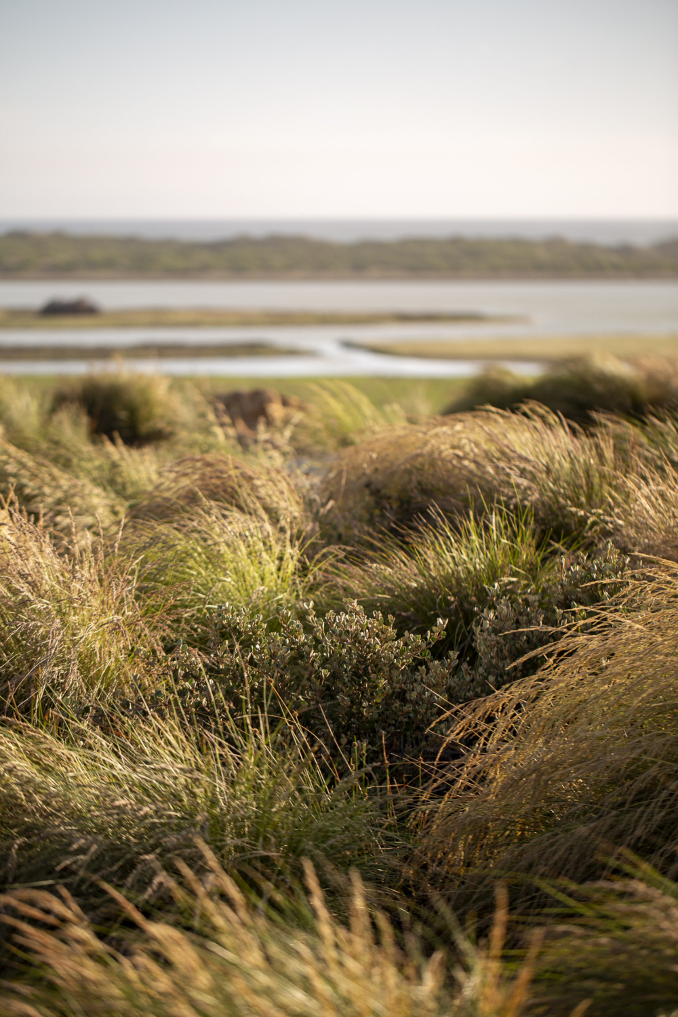 Lee Landscapes 8203 Gemmola LR